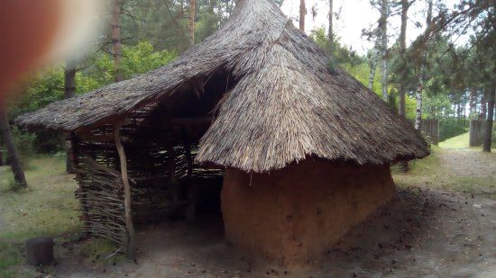 Muzeum Archeologiczne Krzemionki